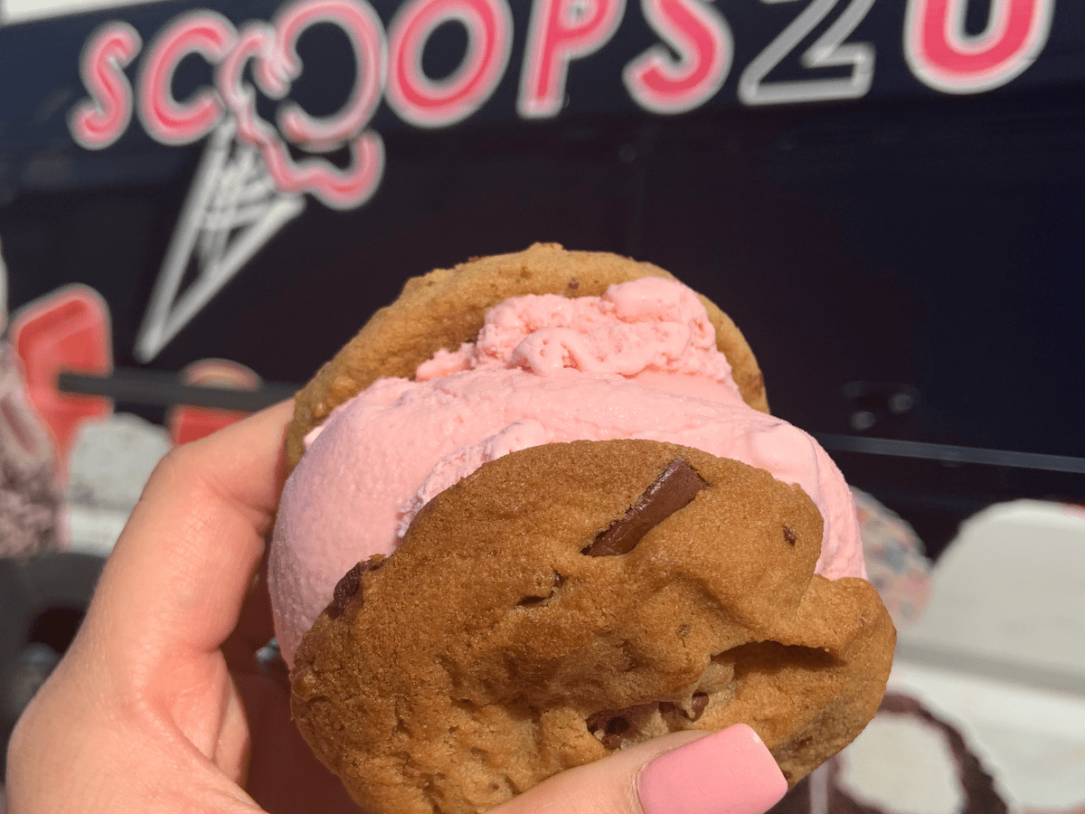 Ice Cream Cookie Sandwich