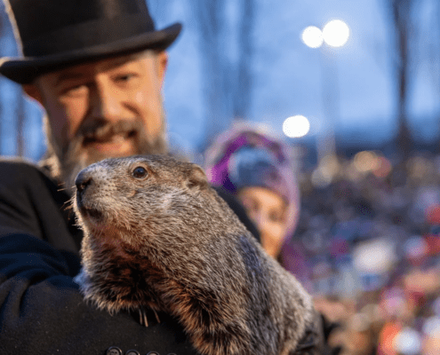 Punxsutawney Phil photographed by The Punxsutawney Groundhog Club, https://www.groundhog.org/